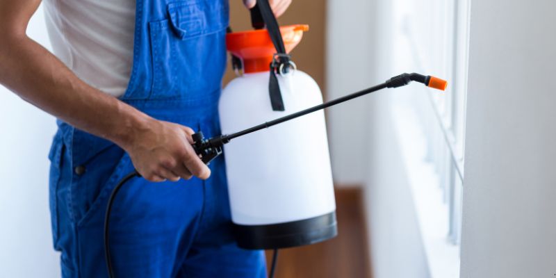 Como Fazer Dedetização em Casa em São José dos Pinhais: 4 Dicas Simples Como fazer dedetização em casa em São José dos Pinhais