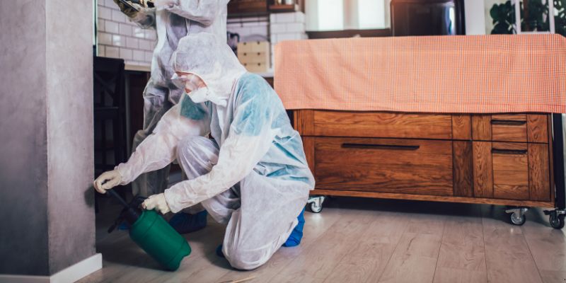 Dedetização em Apartamento Como Funciona em São José dos Pinhais: Confira 4 Passos Dedetização em Apartamento Como Funciona em São José dos Pinhais: Confira 4 Passos