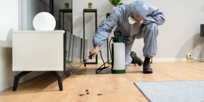 Quanto Tempo Dura Uma Dedetização em São José dos Pinhais? Confira! Quanto tempo dura uma dedetização em São José dos Pinhais?